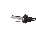 Лампа Ксенон Infolight HB3 +50% (4300К, 5000К, 6000K)